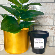 Load image into Gallery viewer, Coconut Paradise Body Butter